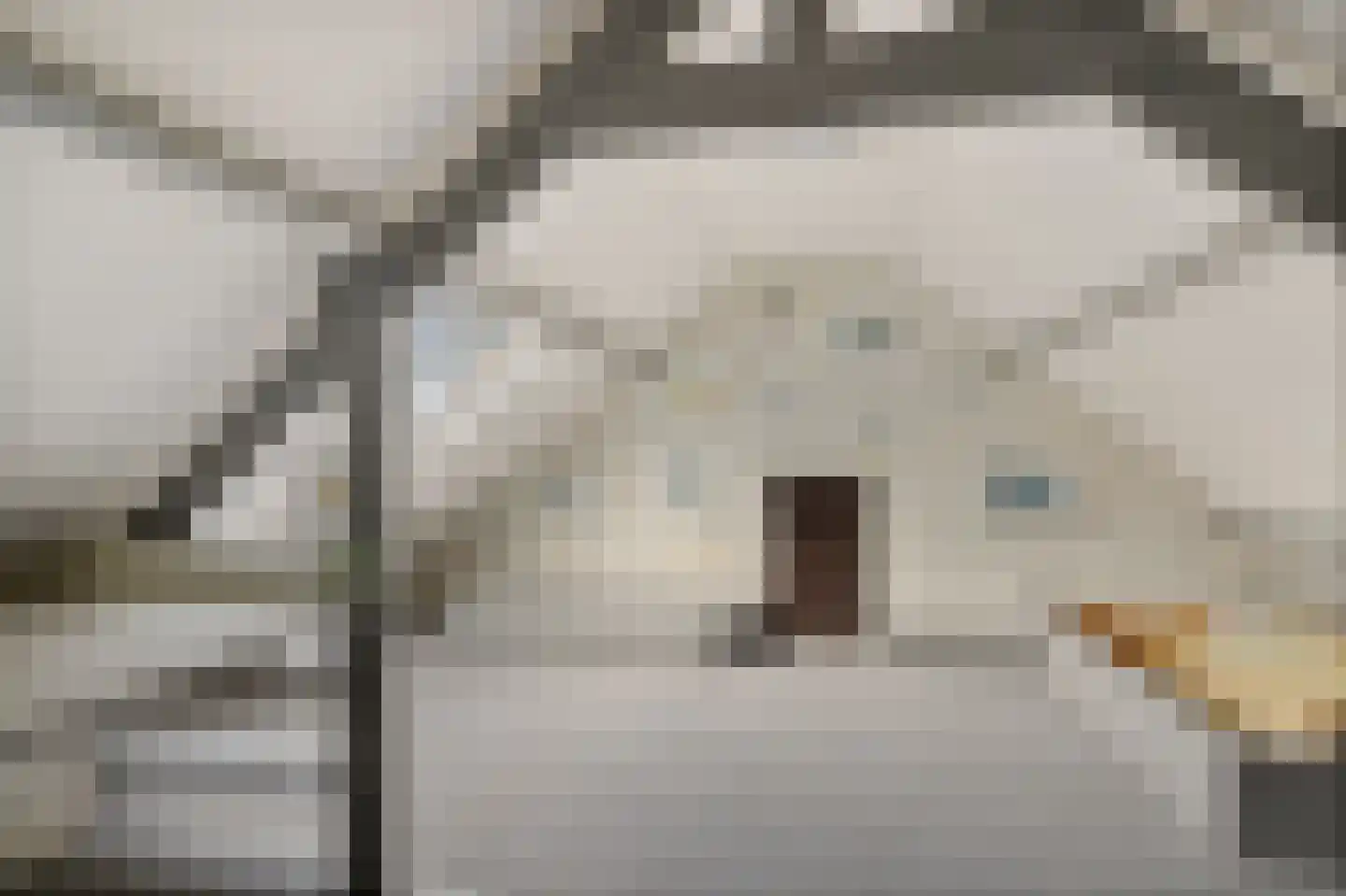 Hooiweg 131 Paterswolde thumbnail 33