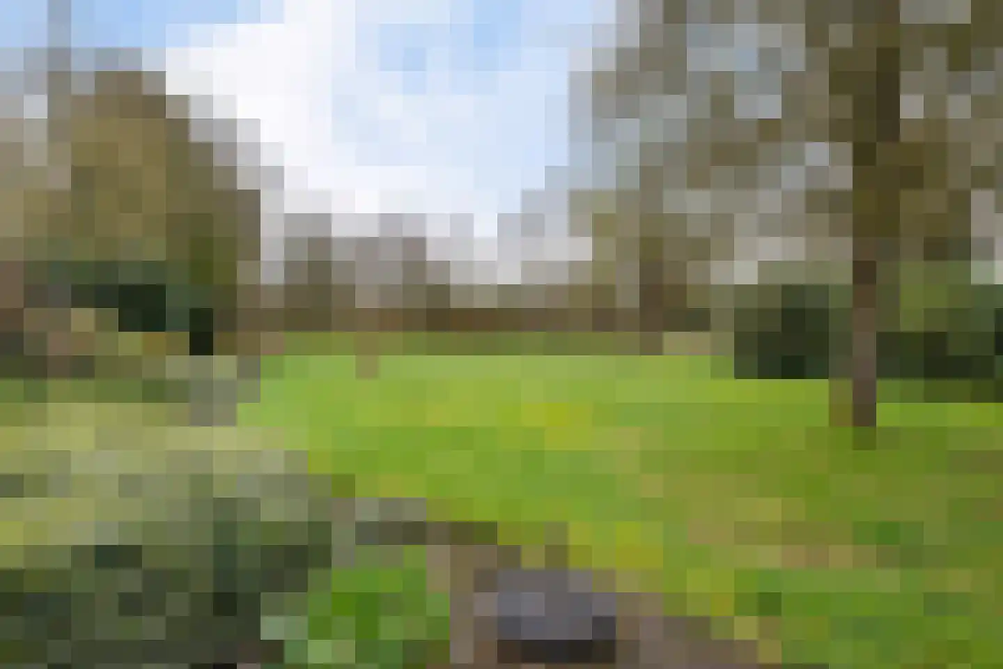 Hooiweg 131 Paterswolde thumbnail 35