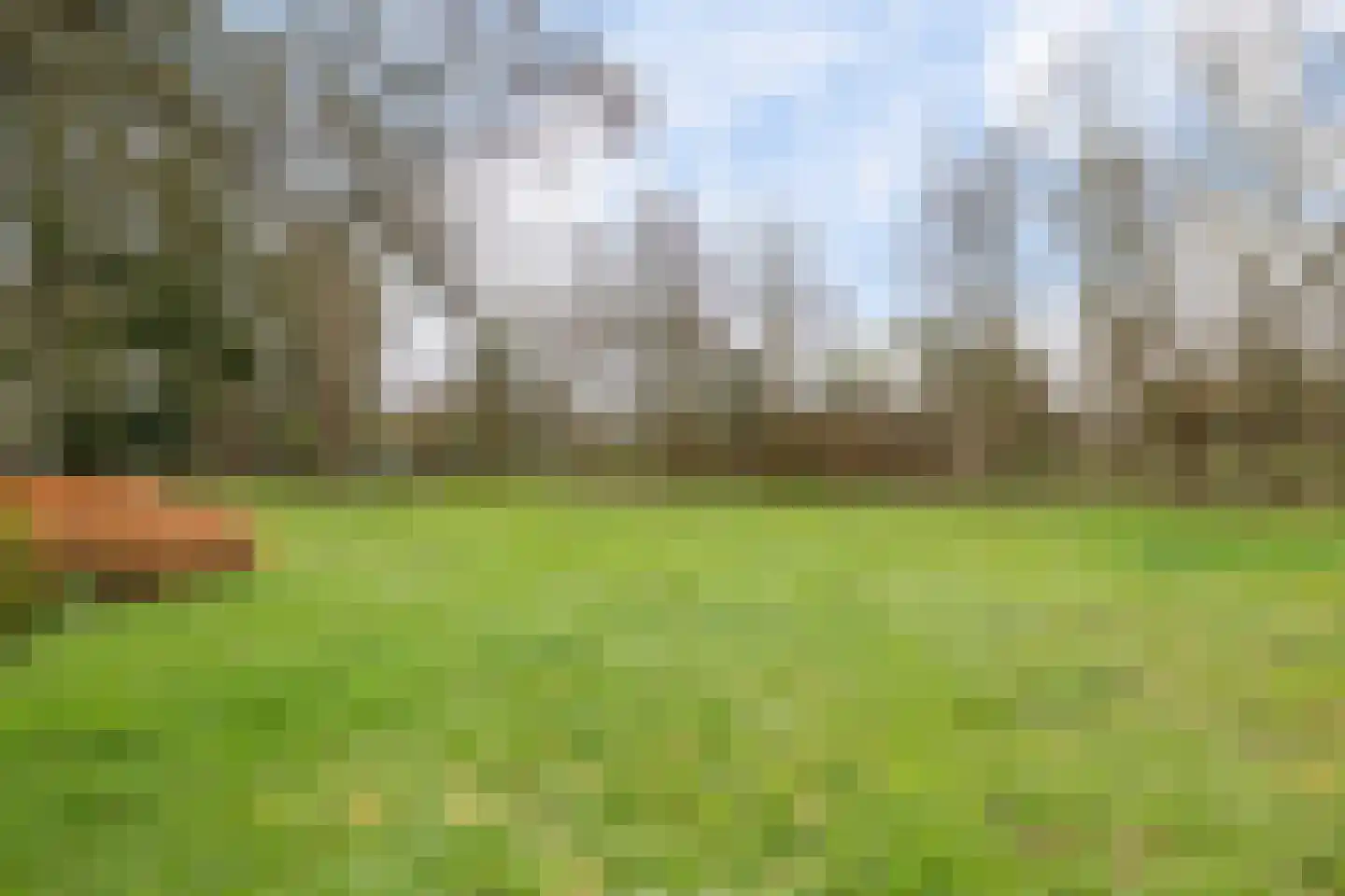 Hooiweg 131 Paterswolde thumbnail 36
