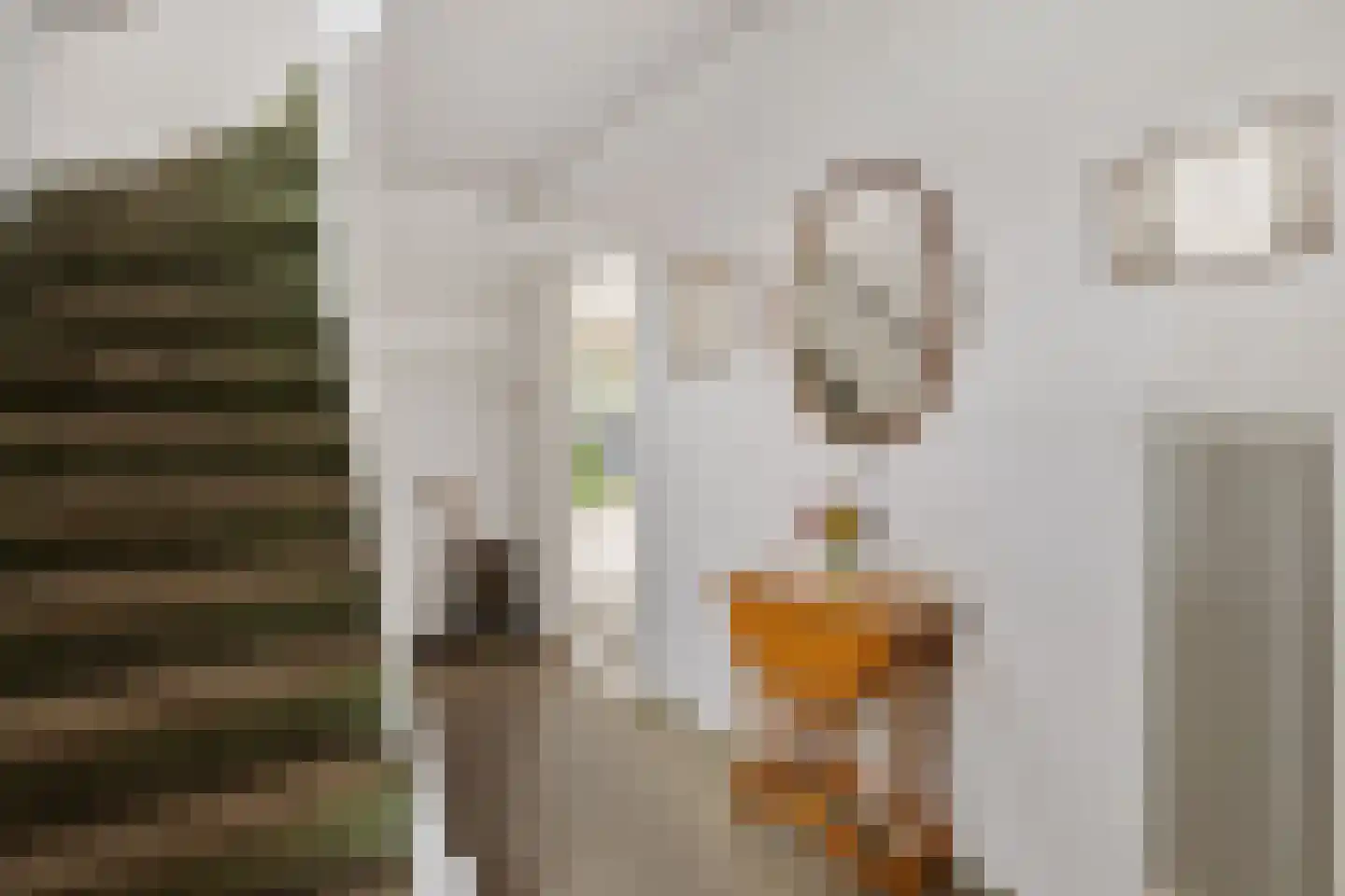 Hooiweg 131 Paterswolde thumbnail 5