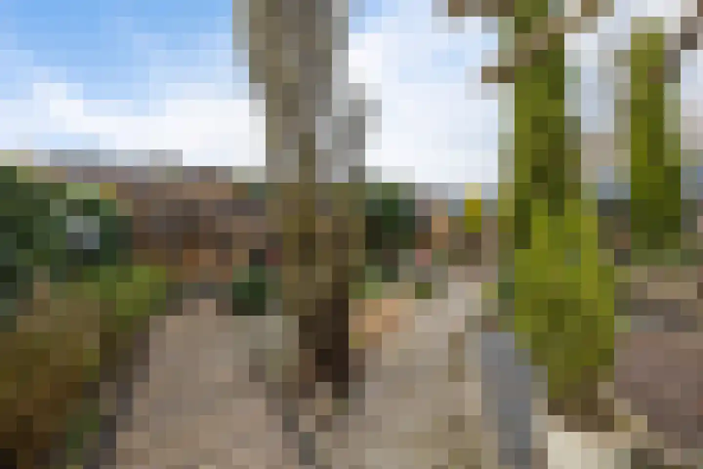 Hooiweg 148 Paterswolde thumbnail 37