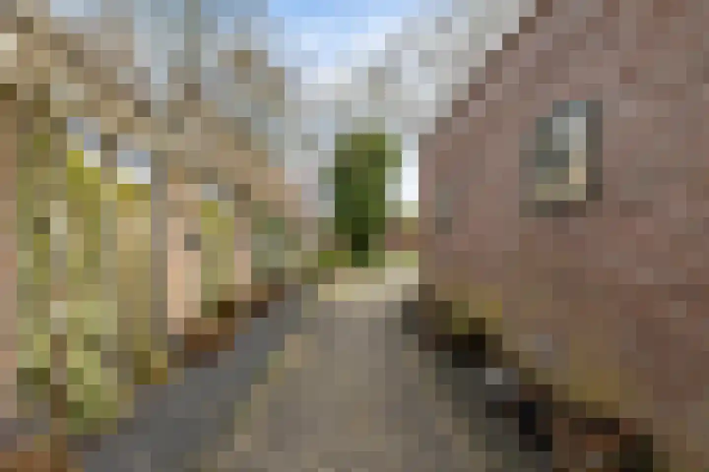 Hooiweg 148 Paterswolde thumbnail 42