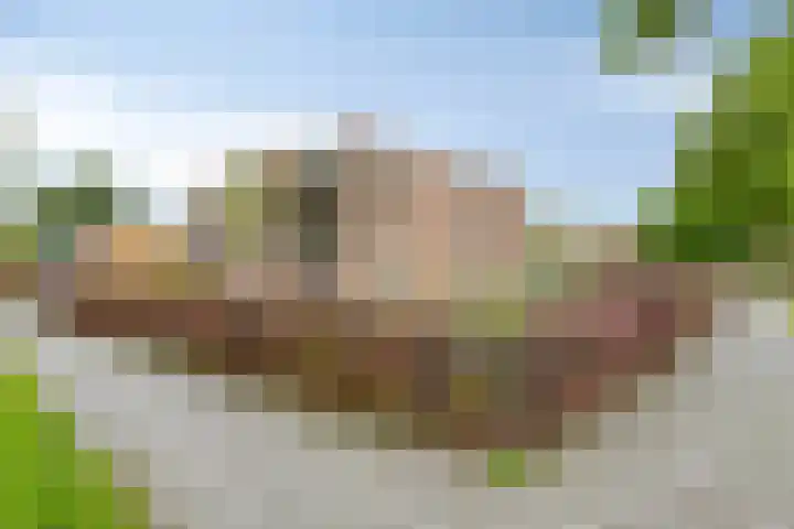 Hooiweg 16 d Eelde thumbnail 11