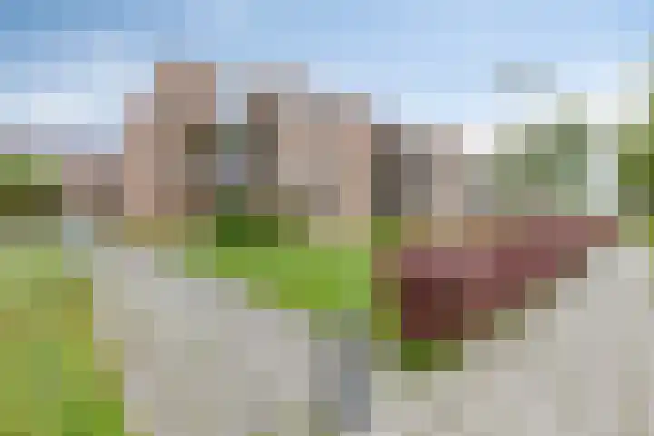 Hooiweg 16 d Eelde thumbnail 12
