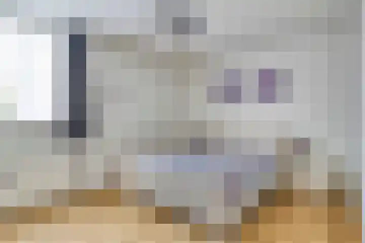 Hooiweg 16 d Eelde thumbnail 27