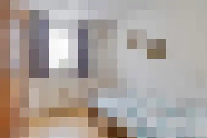 Hooiweg 16 d Eelde thumbnail 32
