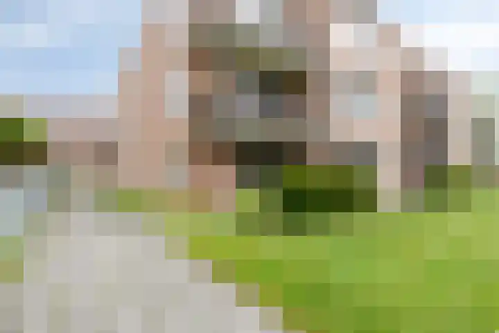 Hooiweg 16 d Eelde thumbnail 35