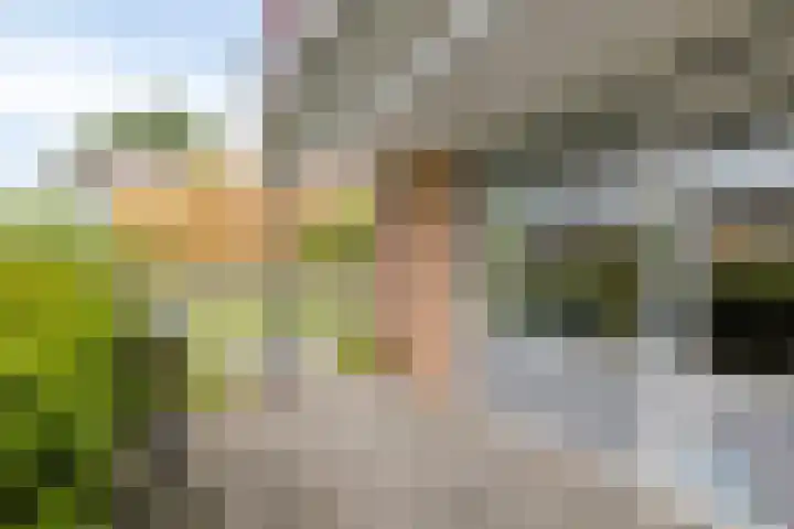 Hooiweg 16 d Eelde thumbnail 37