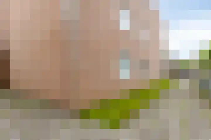 Hooiweg 16 d Eelde thumbnail 39
