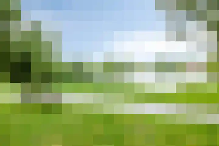 Hooiweg 16 d Eelde thumbnail 41