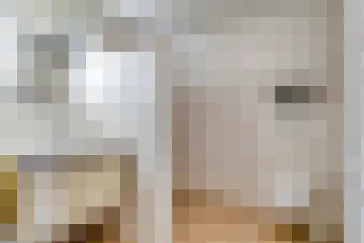 Hooiweg 16 d Eelde thumbnail 5