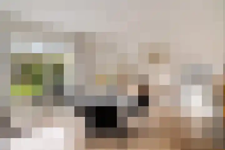 Hooiweg 172 Paterswolde thumbnail 18