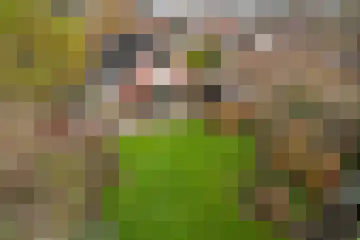 Hooiweg 172 Paterswolde thumbnail 4