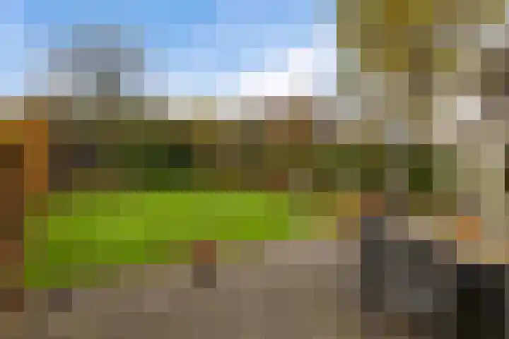 Hooiweg 172 Paterswolde thumbnail 46