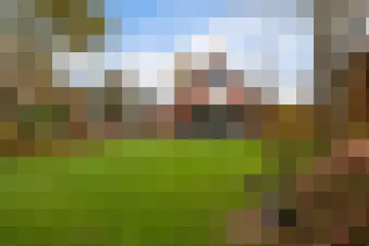 Hooiweg 172 Paterswolde thumbnail 48