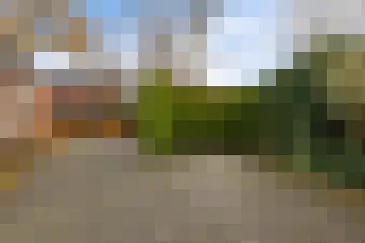 Hooiweg 172 Paterswolde thumbnail 5