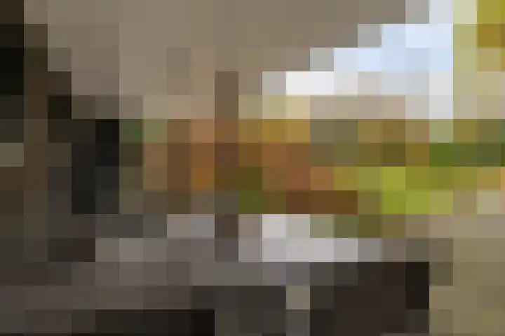 Hooiweg 172 Paterswolde thumbnail 51