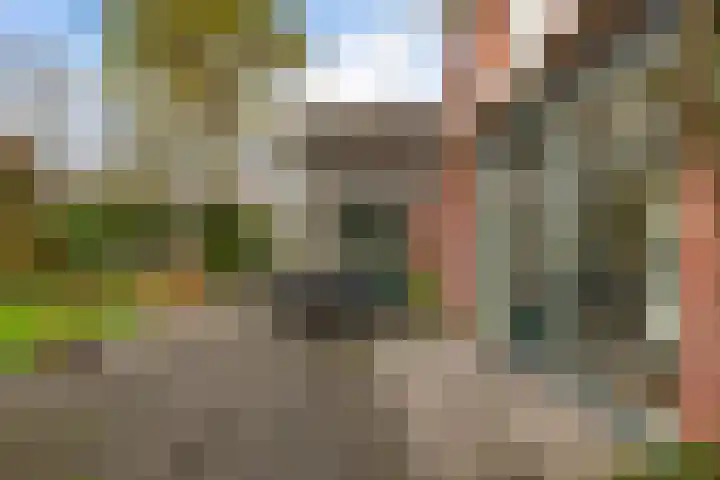 Hooiweg 172 Paterswolde thumbnail 52