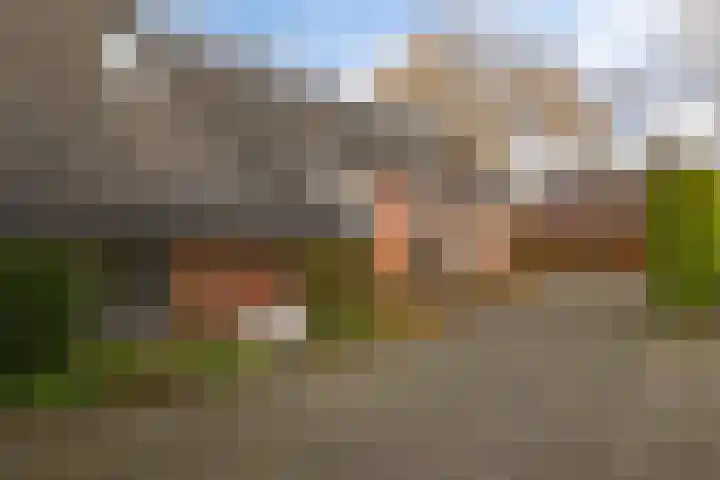 Hooiweg 172 Paterswolde thumbnail 6
