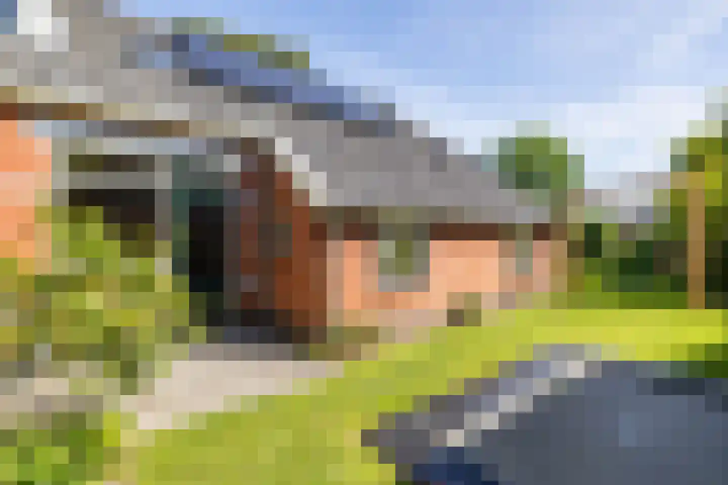 Hooiweg 185 Paterswolde thumbnail 63