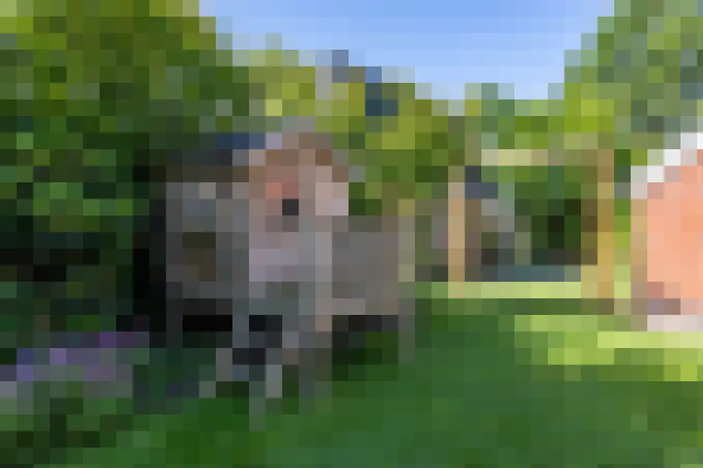 Hooiweg 185 Paterswolde thumbnail 64