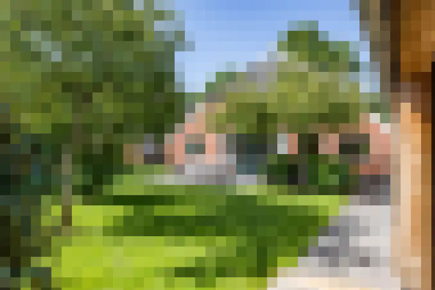 Hooiweg 185 Paterswolde thumbnail 66