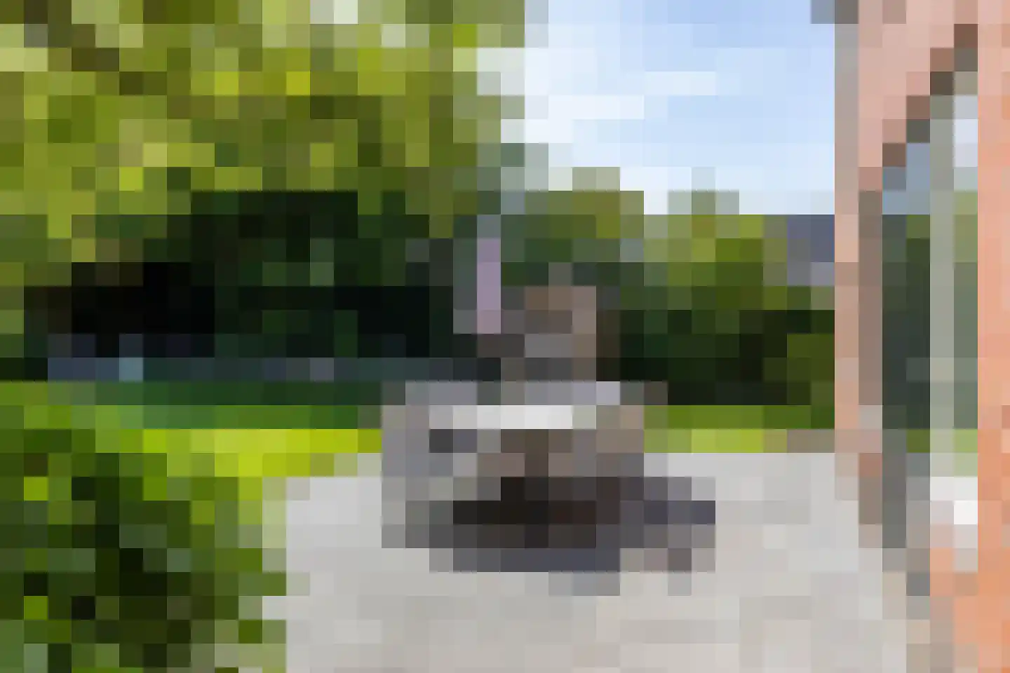 Hooiweg 185 Paterswolde thumbnail 67