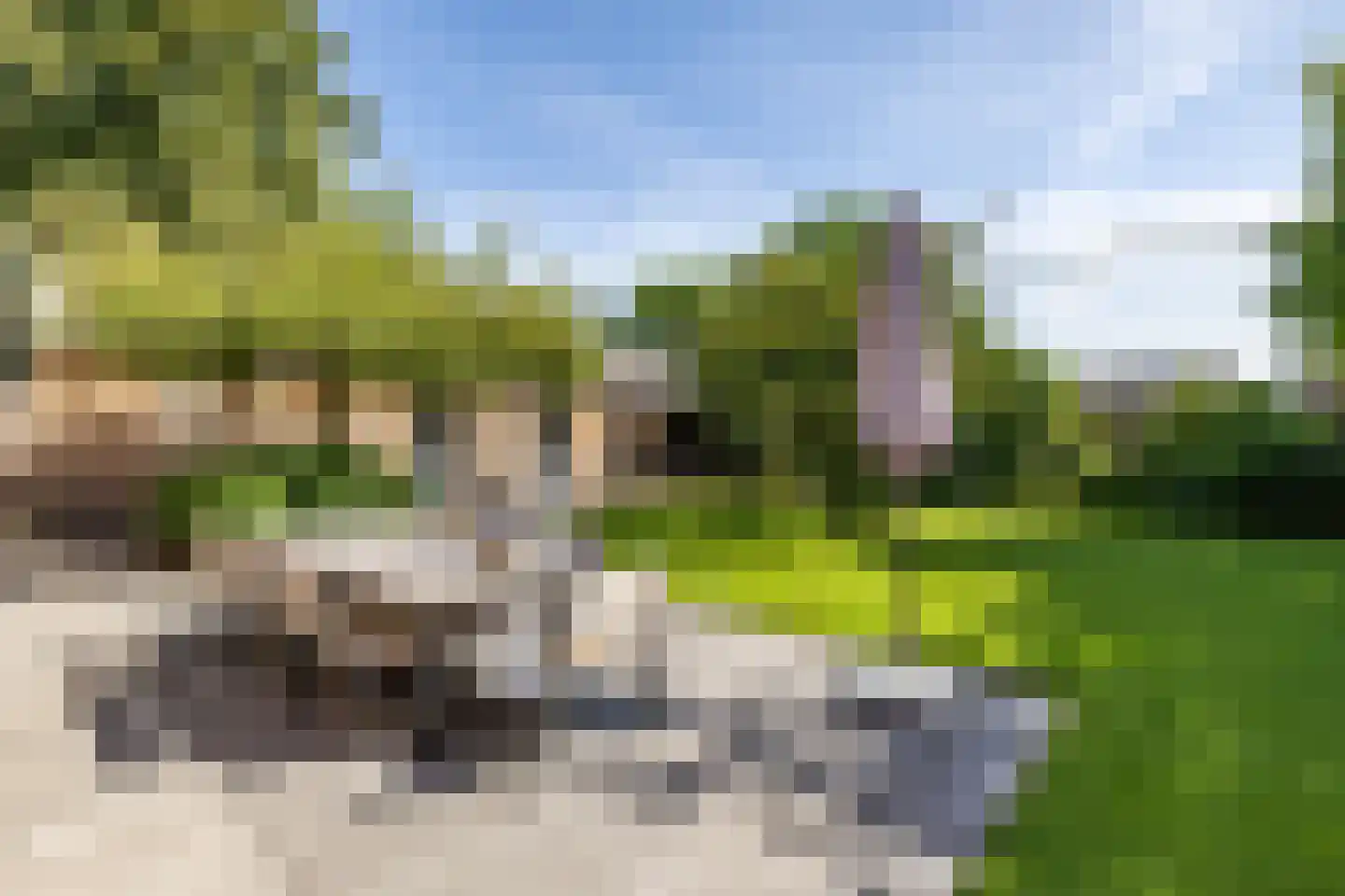 Hooiweg 185 Paterswolde thumbnail 68