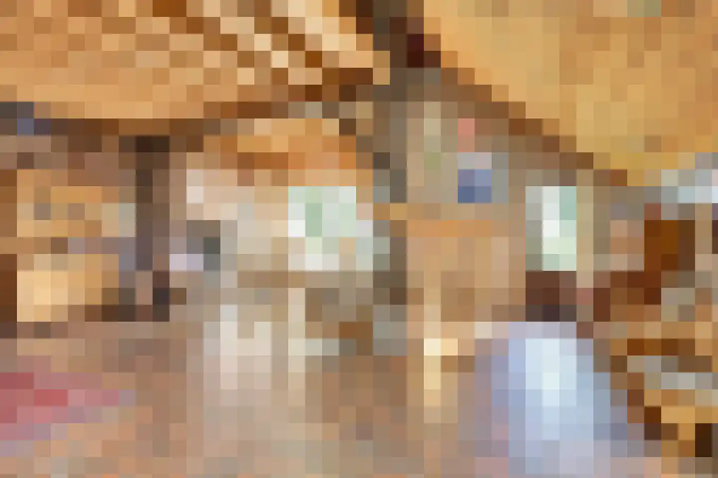 Hooiweg 19 Zwolle thumbnail 13