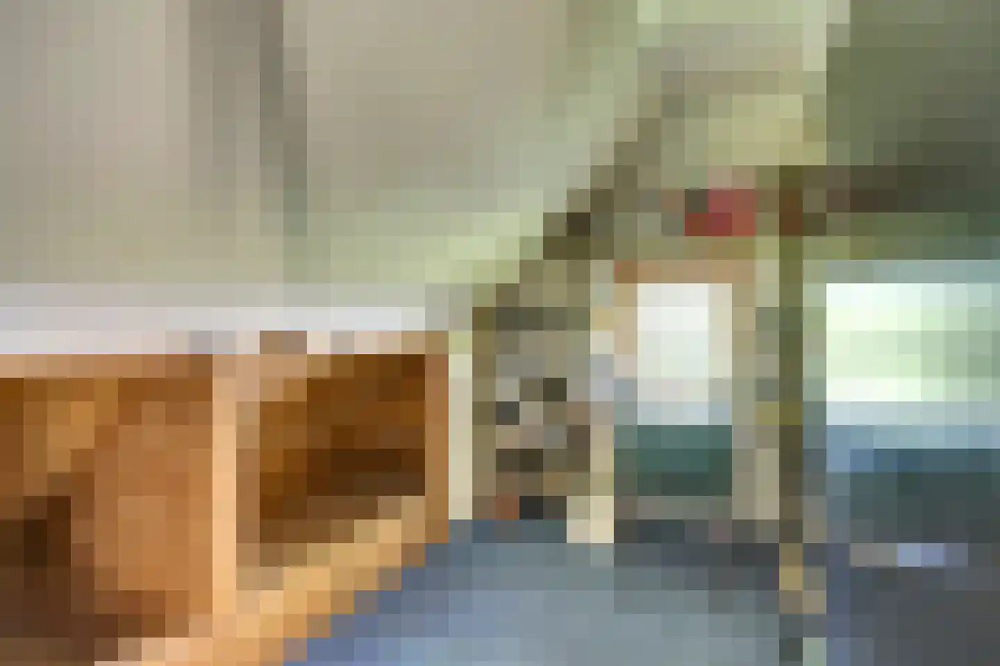 Hooiweg 19 Zwolle thumbnail 26
