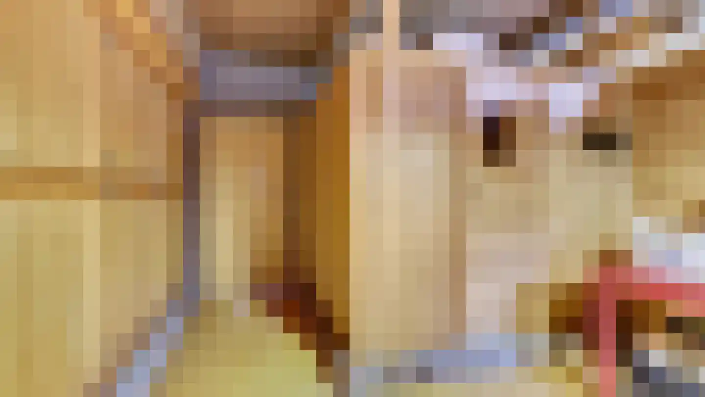 Hooiweg 19 Zwolle thumbnail 36