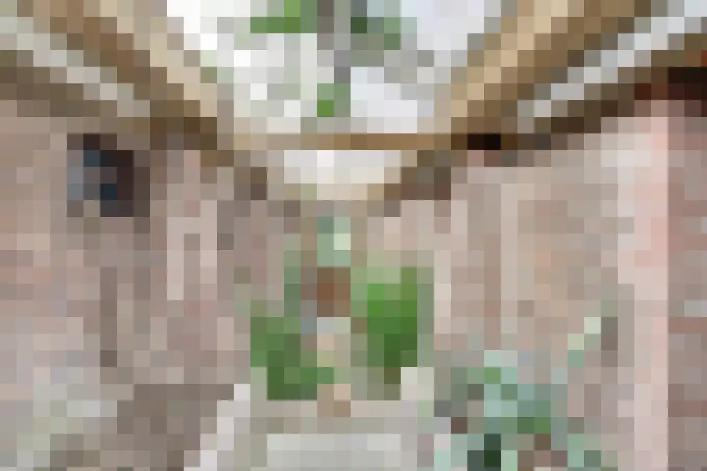Hooiweg 19 Zwolle thumbnail 37