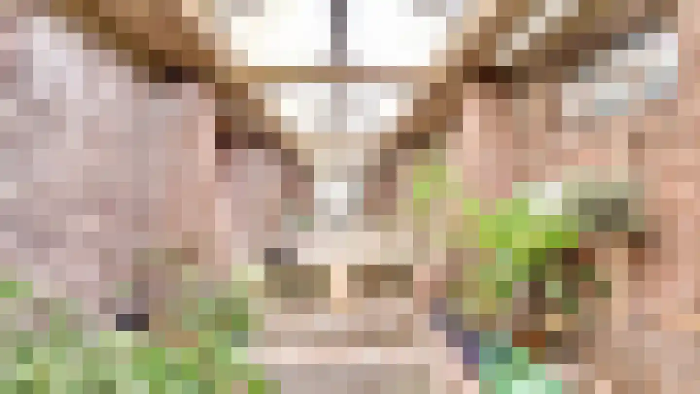 Hooiweg 19 Zwolle thumbnail 39