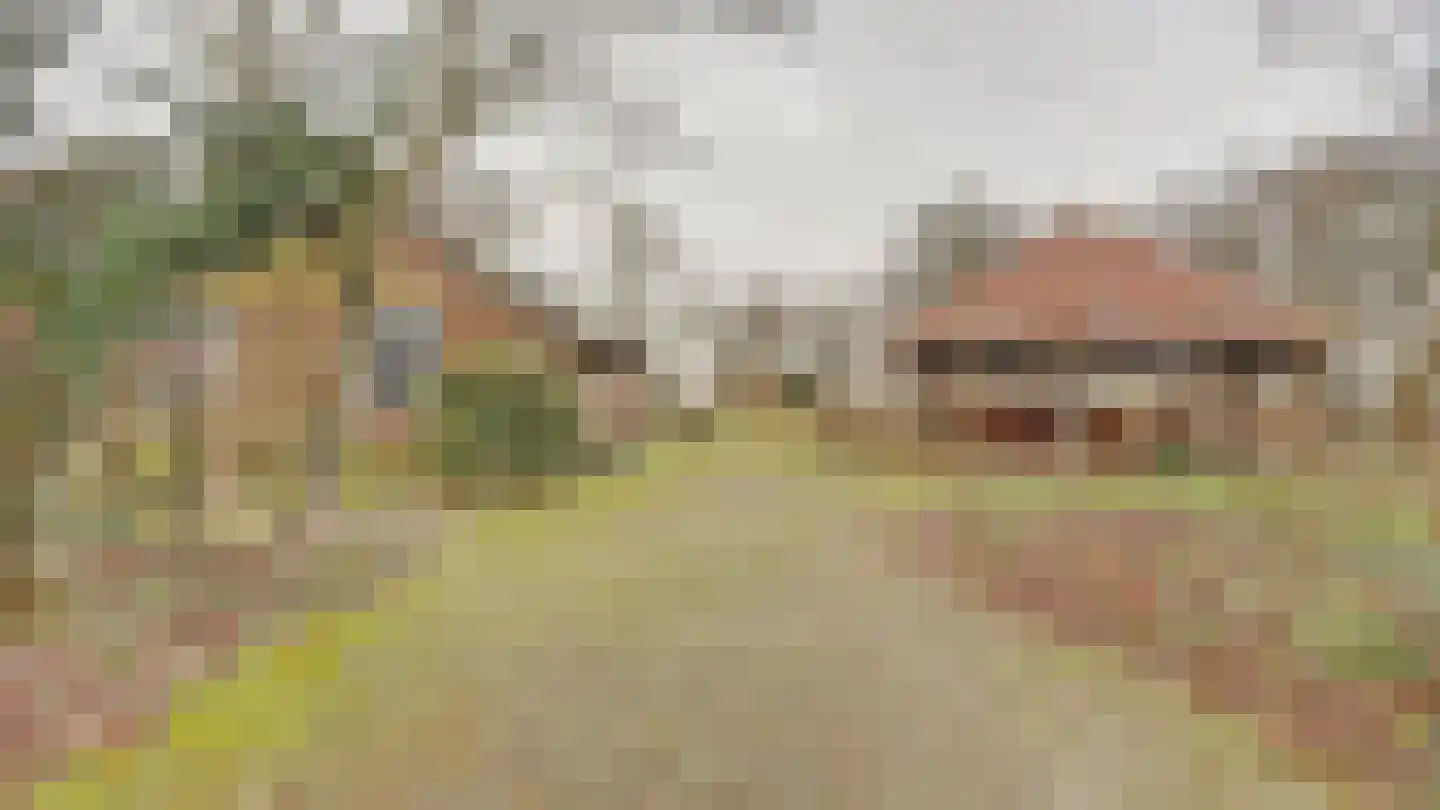 Hooiweg 19 Zwolle thumbnail 4