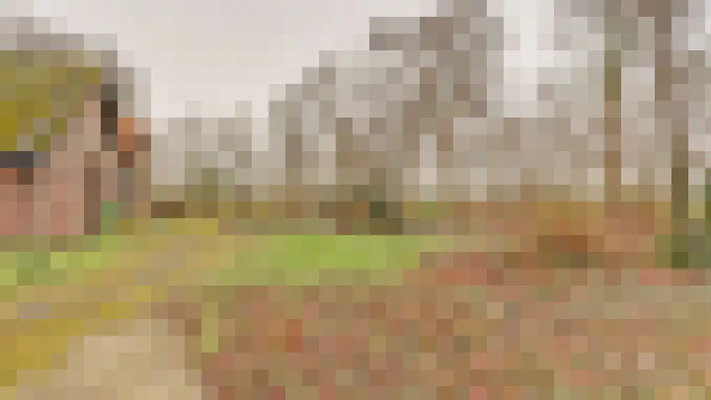 Hooiweg 19 Zwolle thumbnail 43
