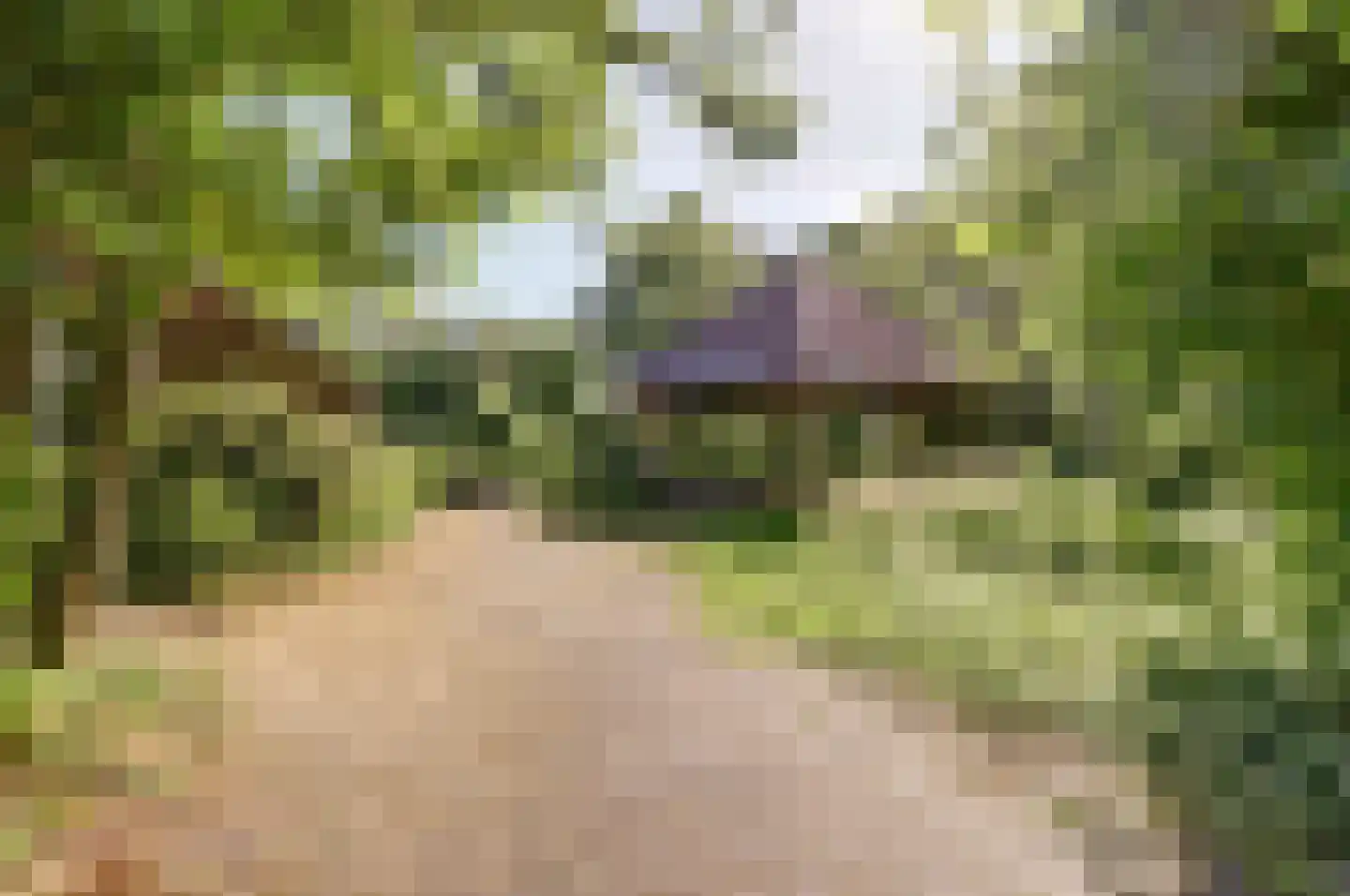 Hooiweg 19 Zwolle thumbnail 43