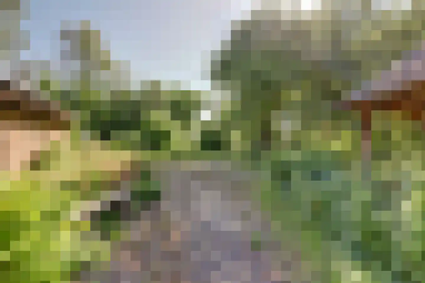 Hooiweg 19 Zwolle thumbnail 44