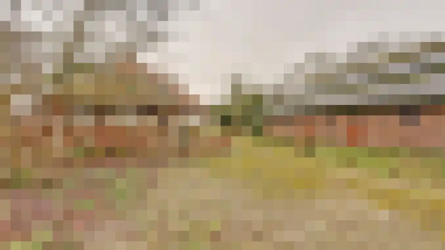 Hooiweg 19 Zwolle thumbnail 44