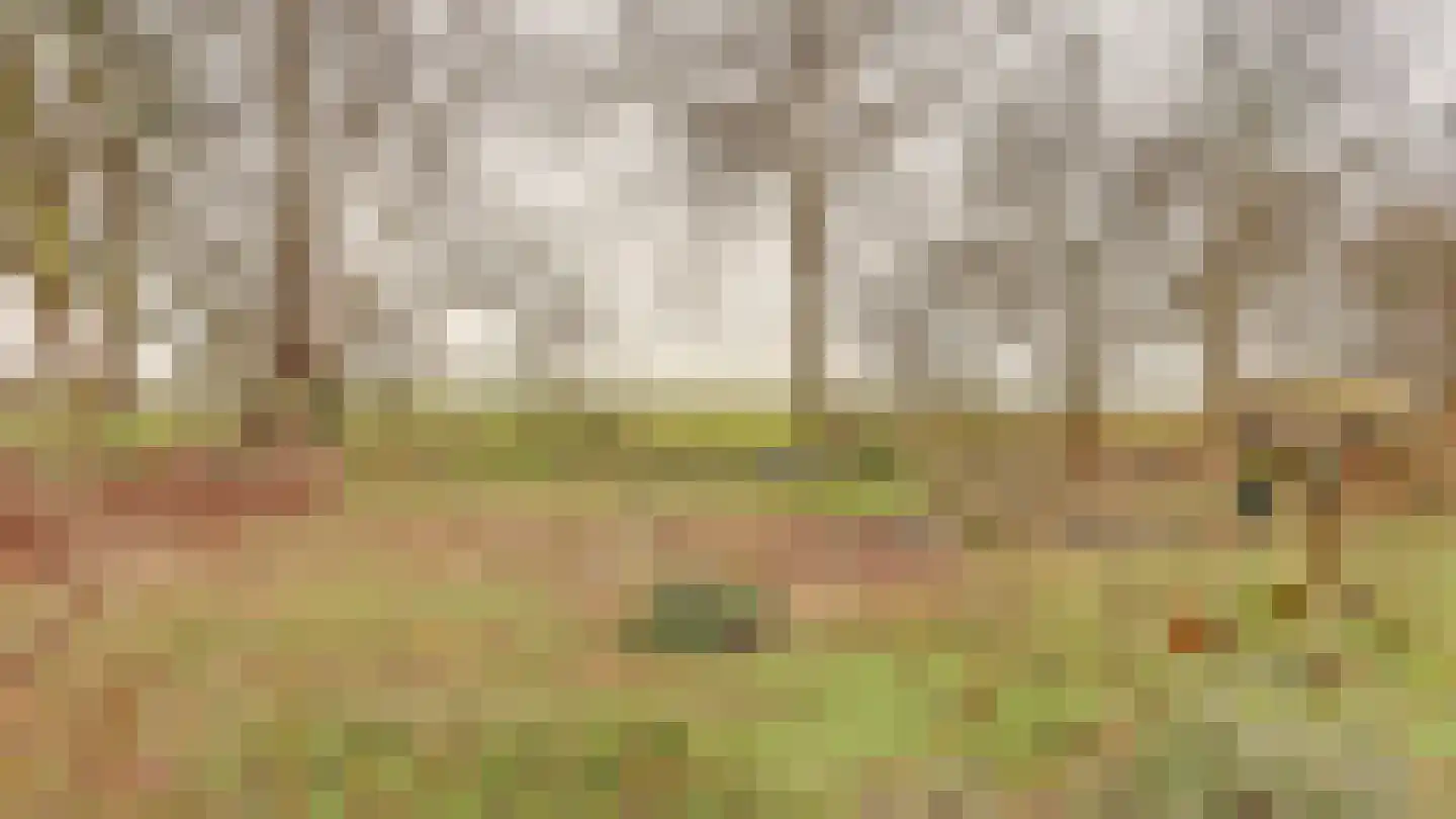 Hooiweg 19 Zwolle thumbnail 45