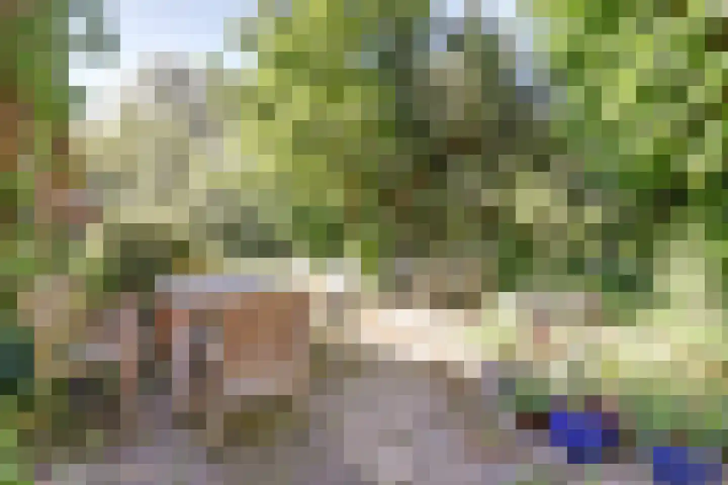 Hooiweg 19 Zwolle thumbnail 46