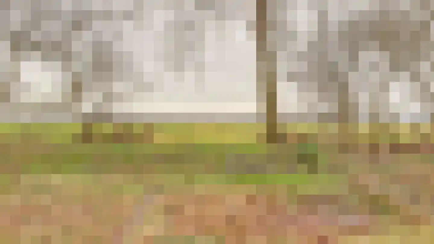 Hooiweg 19 Zwolle thumbnail 46