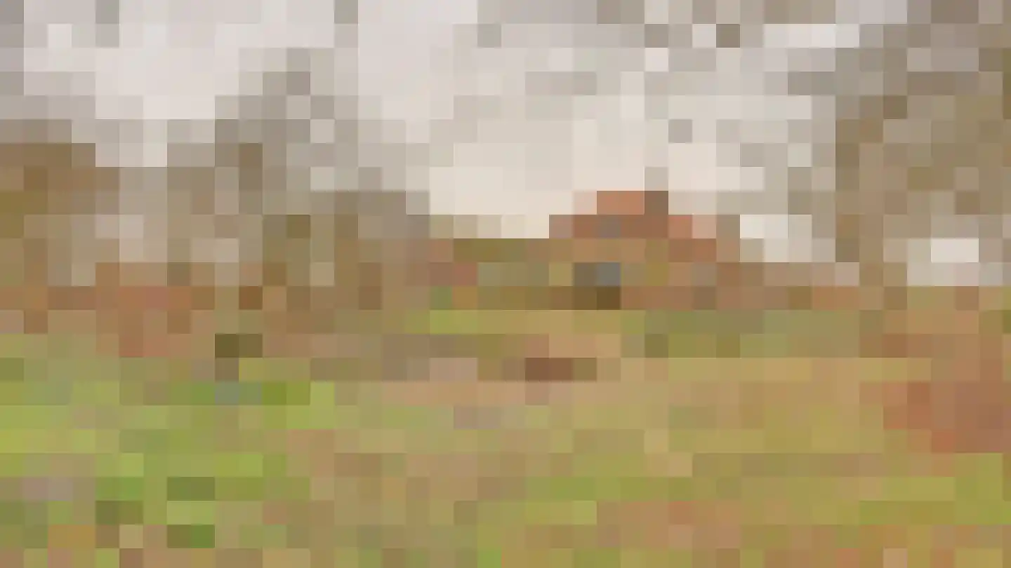Hooiweg 19 Zwolle thumbnail 47