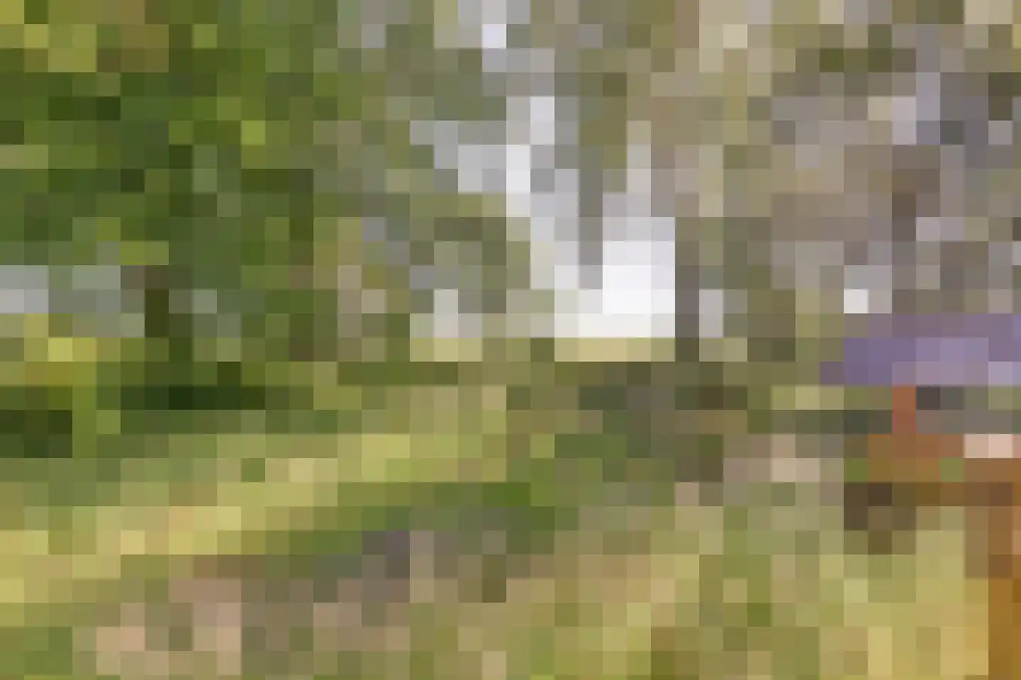 Hooiweg 19 Zwolle thumbnail 47