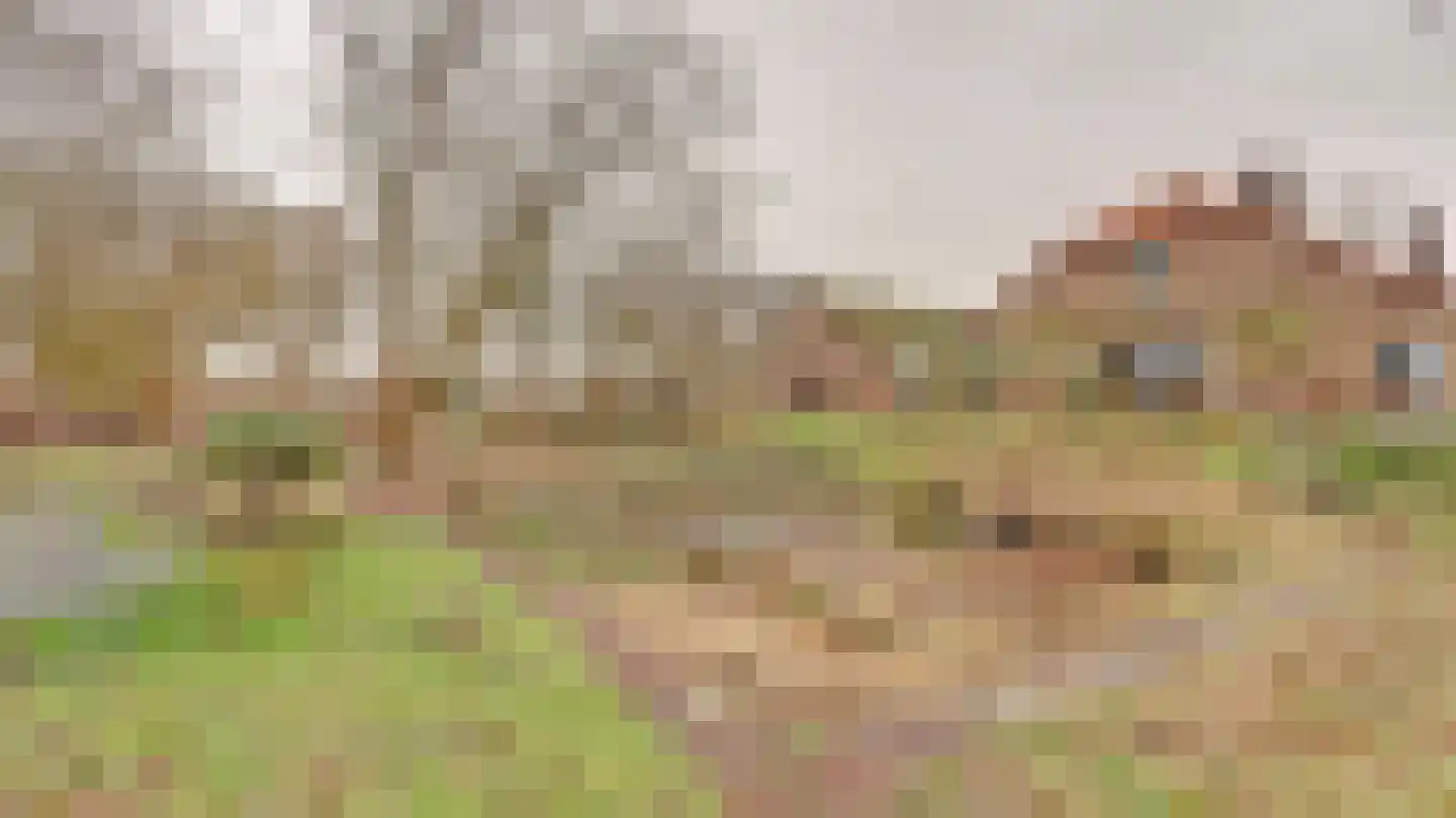 Hooiweg 19 Zwolle thumbnail 48