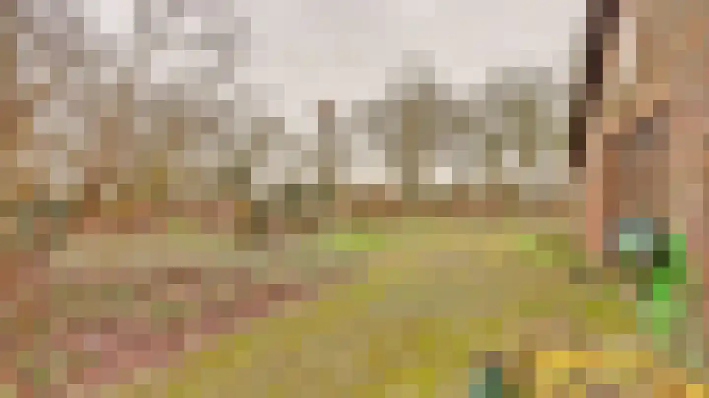 Hooiweg 19 Zwolle thumbnail 49