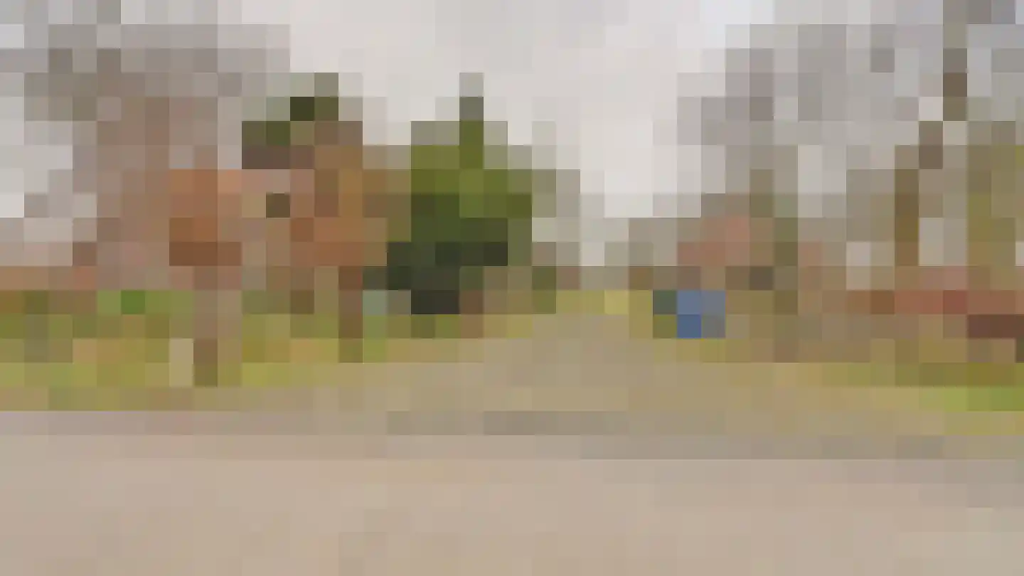 Hooiweg 19 Zwolle thumbnail 5