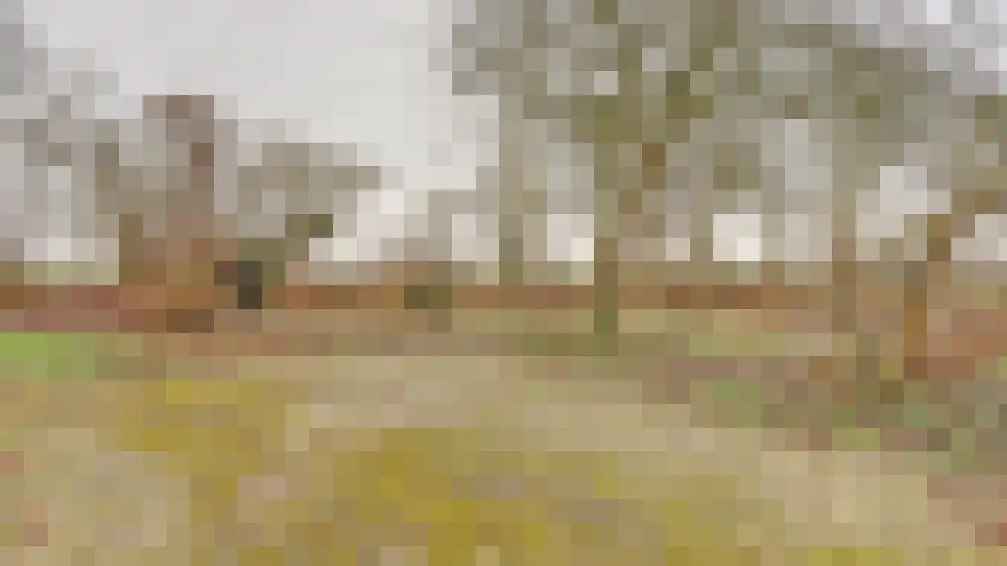 Hooiweg 19 Zwolle thumbnail 50