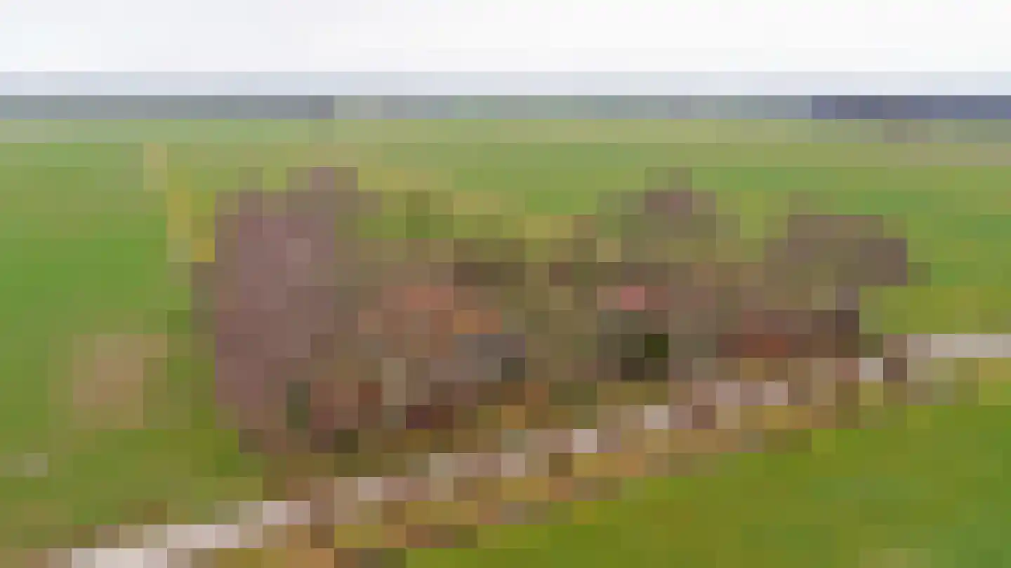 Hooiweg 19 Zwolle thumbnail 53
