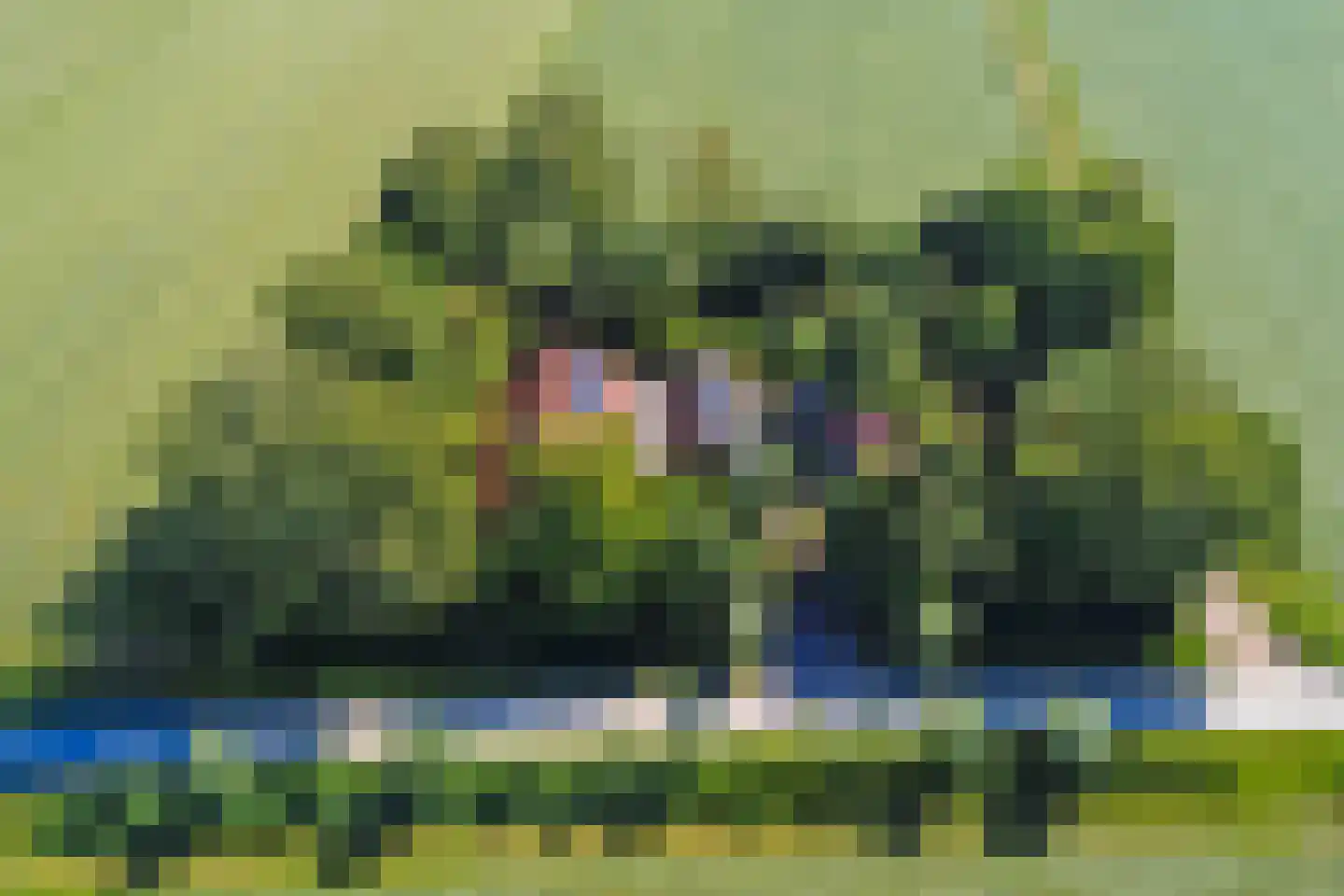 Hooiweg 19 Zwolle thumbnail 53