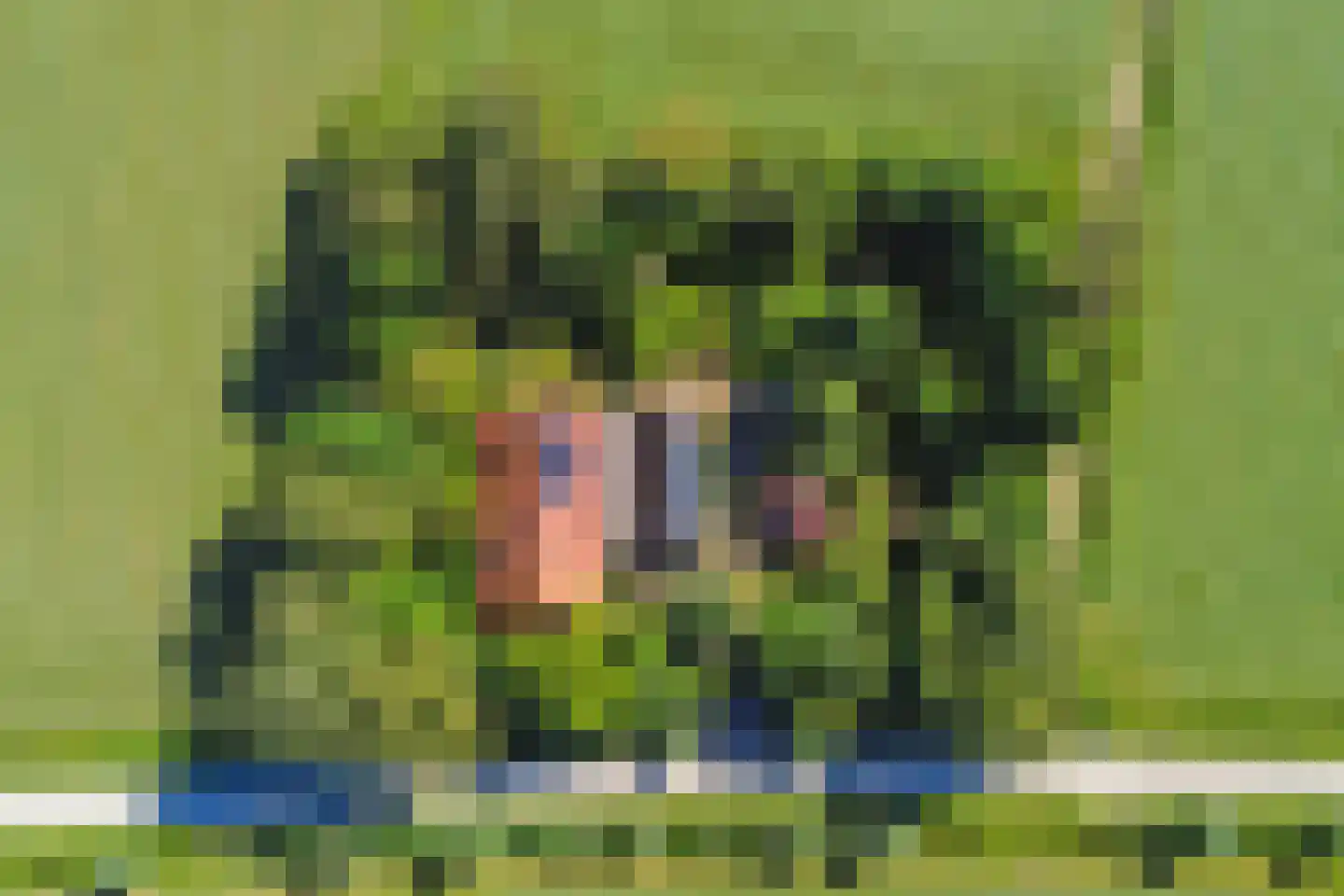 Hooiweg 19 Zwolle thumbnail 54